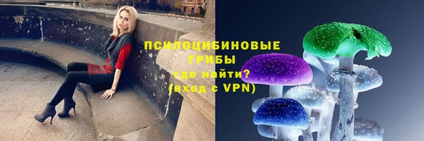 гашишное масло Богородицк