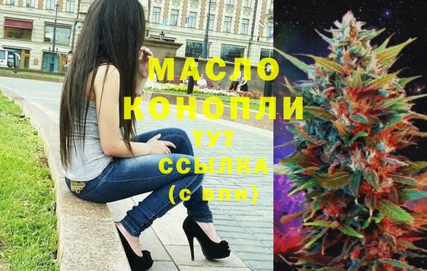 индика Богданович
