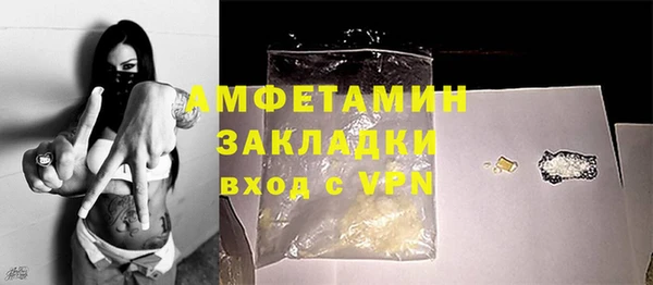 индика Богданович