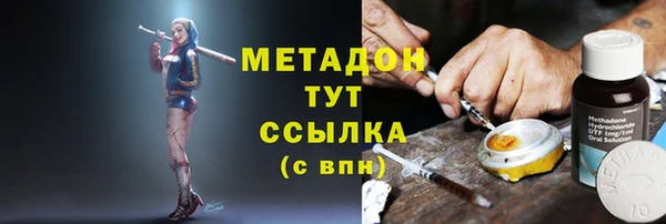 индика Богданович