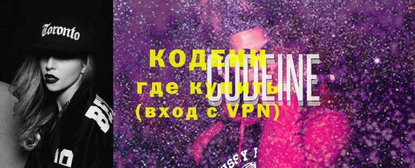 индика Богданович