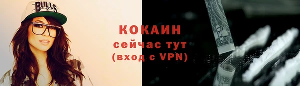 индика Богданович