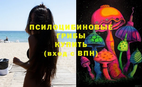 прущая мука Богородск