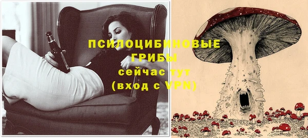 гашишное масло Богородицк