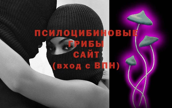 индика Богданович