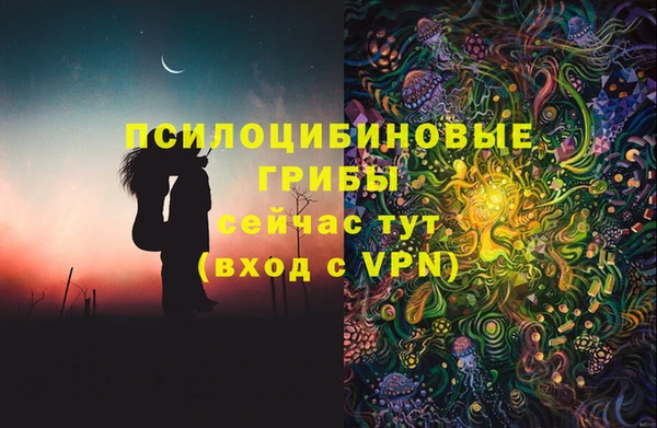 индика Богданович