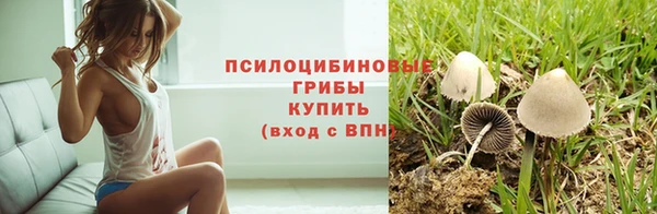 индика Богданович