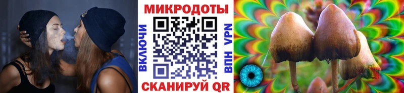 Галлюциногенные грибы MAGIC MUSHROOMS  Купить где  Всеволожск 